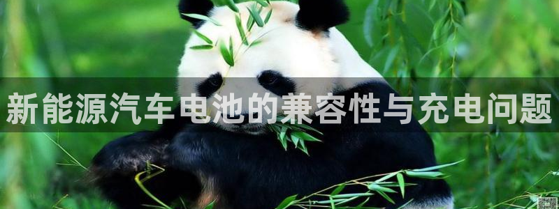 优发国际官方网手机版下载