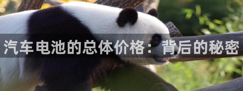 优发国际手机版下载：汽车电池的总体价格：背后的秘密