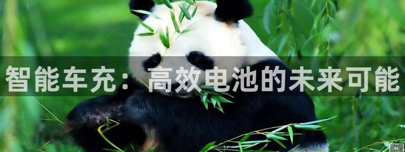 优发国际手机客户端下载安装苹果：智能车充：高效电池的未来可能
