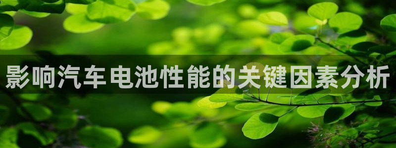 优发国际网站178：影响汽车电池性能的关键因素分析