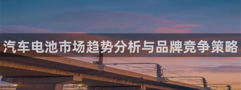 优发国际的官网是什么软件：汽车电池市场趋势分析与品牌竞争策略
