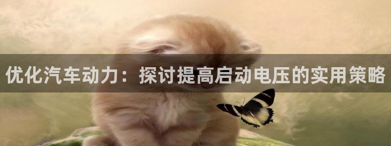 优发国际是大平台吗是真的吗：优化汽车动力：探讨提高启动电压的实用策略