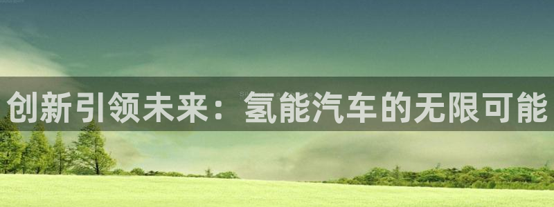 优发国际集团股份有限公司招聘：创新引领未来：氢能汽车的无限可能