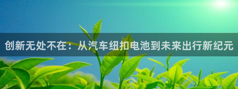 优发娱乐pt官网客户端：创新无处不在：从汽车纽扣电池到未来出行新纪元
