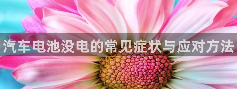 优发国际官网官方网址：汽车电池没电的常见症状与应对方法