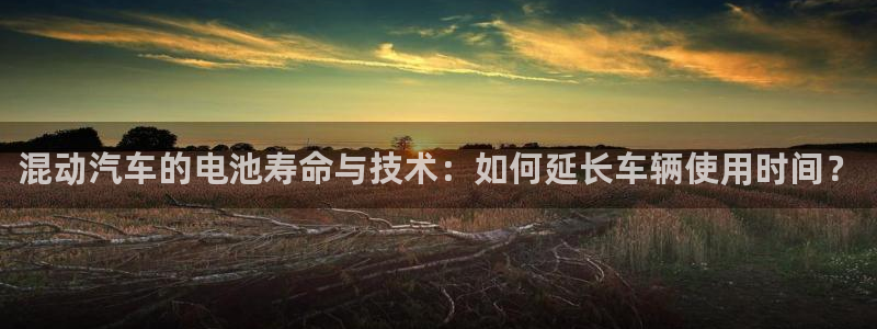 优发国际官网网站入口：混动汽车的电池寿命与技术：如何延长车辆使用时间？