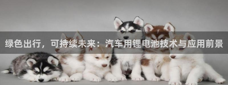 优发国际app官网下载安装：绿色出行，可持续未来：汽车用锂电池技术与应用前景