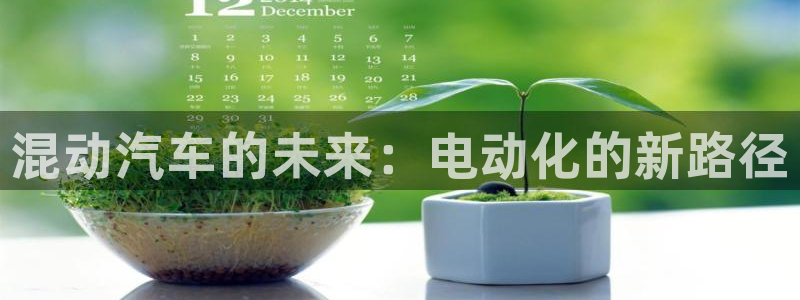 优发国际官网官方网址