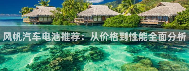 优发国际vip网址：风帆汽车电池推荐：从价格到性能全面分析