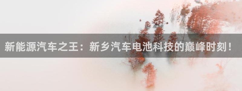 优发国际手机版网站登录：新能源汽车之王：新乡汽车电池科技的巅峰时刻！