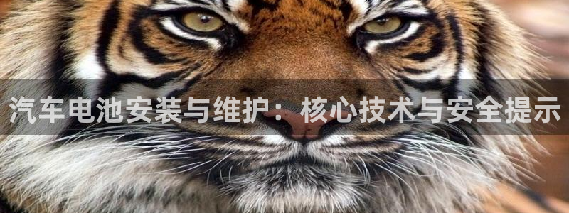 优发国际游戏17岁能玩吗：汽车电池安装与维护：核心技术与安全提示