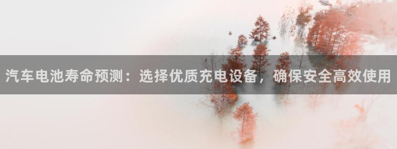 优发国际是什么：汽车电池寿命预测：选择优质充电设备，确保安全高效使用