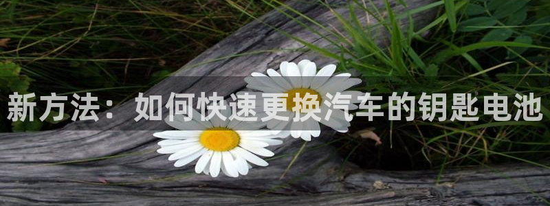 优发国际手机安装登录