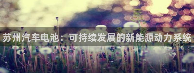 优发国际安卓版下载安装：苏州汽车电池：可持续发展的新能源动力系统