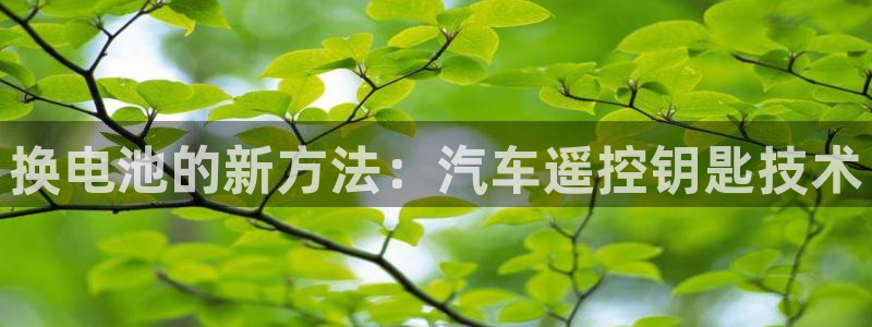 优发国际手机版下载安装：换电池的新方法：汽车遥控钥匙技术
