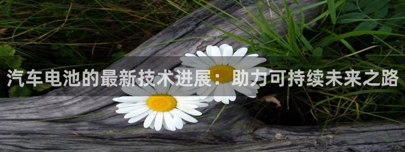 优发国际手机登录下载安装：汽车电池的最新技术进展：助力可持续未来之路