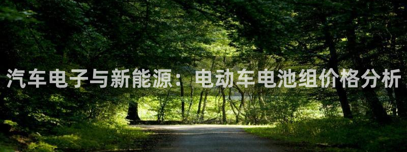 优发国际平台g8：汽车电子与新能源：电动车电池组价格分析