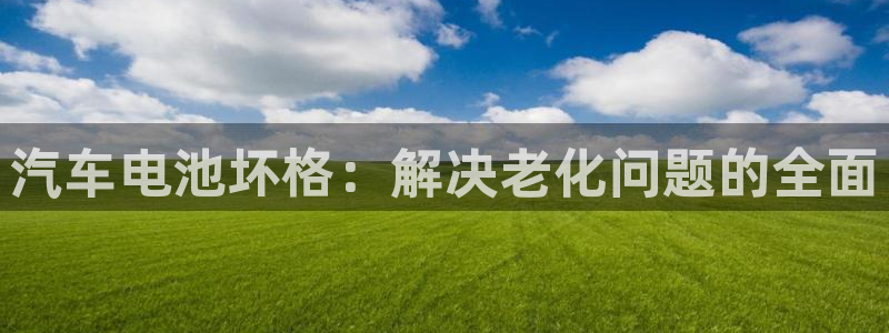 优发国际集团股份有限公司：汽车电池坏格：