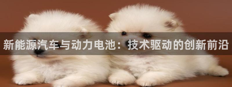 优发国际官网入口app下载苹果：新能源汽车与动力电池：技术驱动的创新前沿