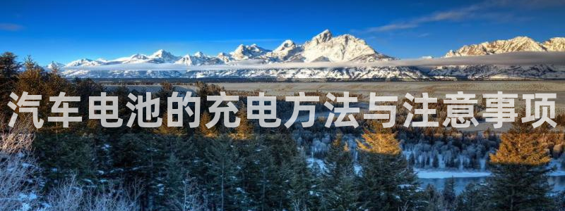 优发国际手机版下载安装