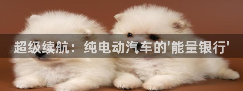 优发国际集团股份有限公司