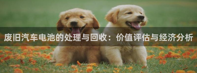 优发国际是什么
