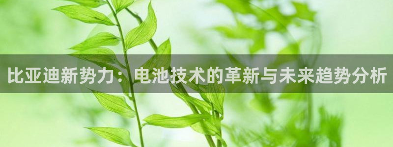 优发国际手机客户端官网