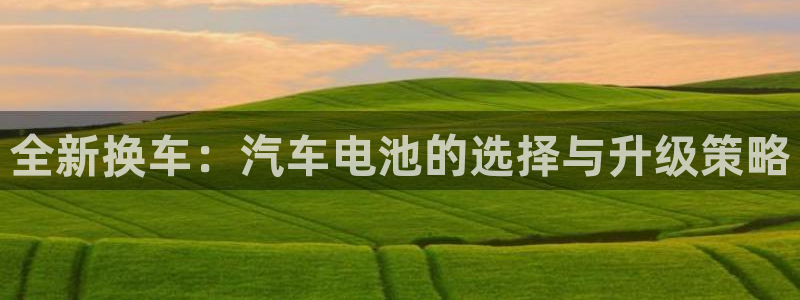 优发国际平台g80