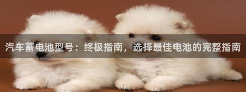 优发国际最新网站下载