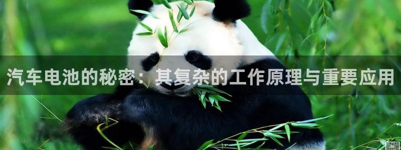 优发国际网站官网