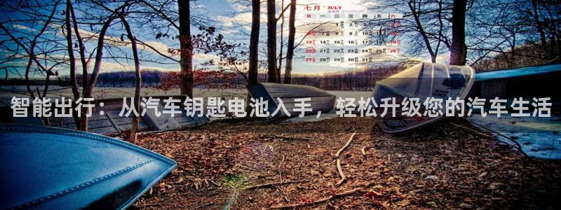 优发国际集团股份有限公司官网