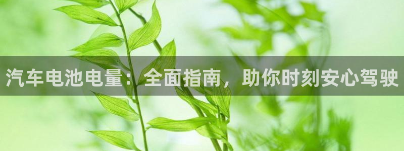 优发国际app官网下载安装苹果手机：汽车电池电量：全面指南，助你时刻安心驾驶