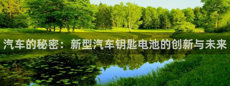 优发国际官网网站登录：汽车的秘密：新型汽车钥匙电池的创新与未来