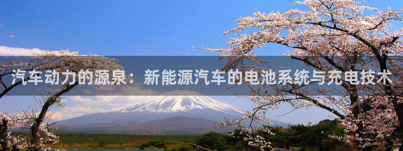 优发国际官网下载安装手机版