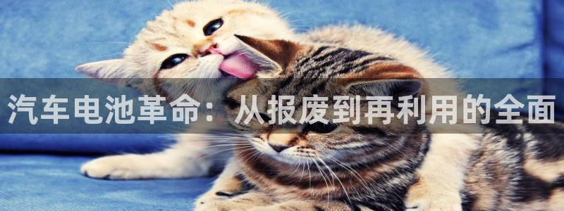 优发国际下载安装app：汽车电池革命：从报废到再利用的全面