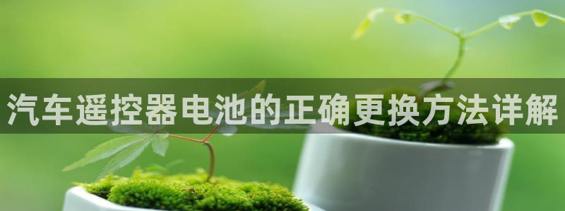 优发国际游戏官方网站入口：汽车遥控器电池的正确更换方法详解